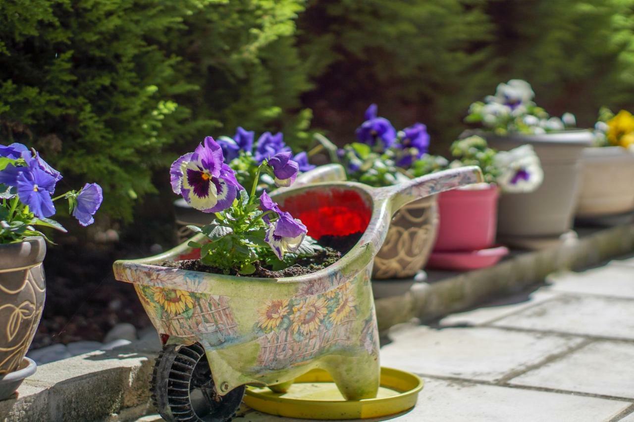 Casa elegante w/ garden, 5' to Beach Kawala Zewnętrze zdjęcie